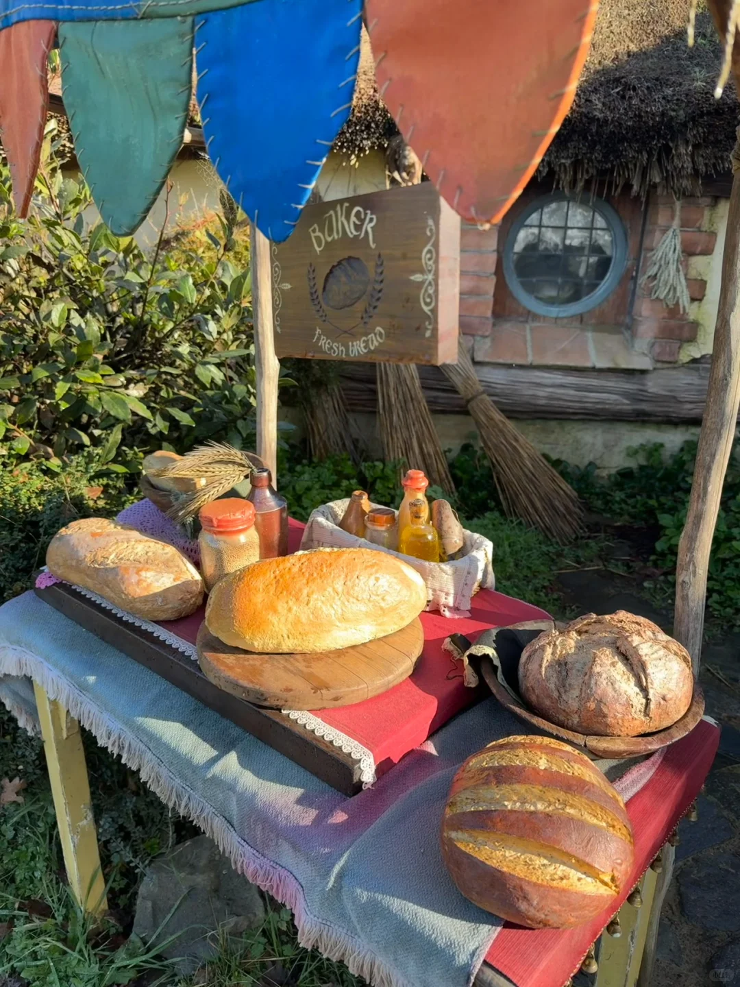 听xhs劝了，报了个新西兰半自由行团（无广