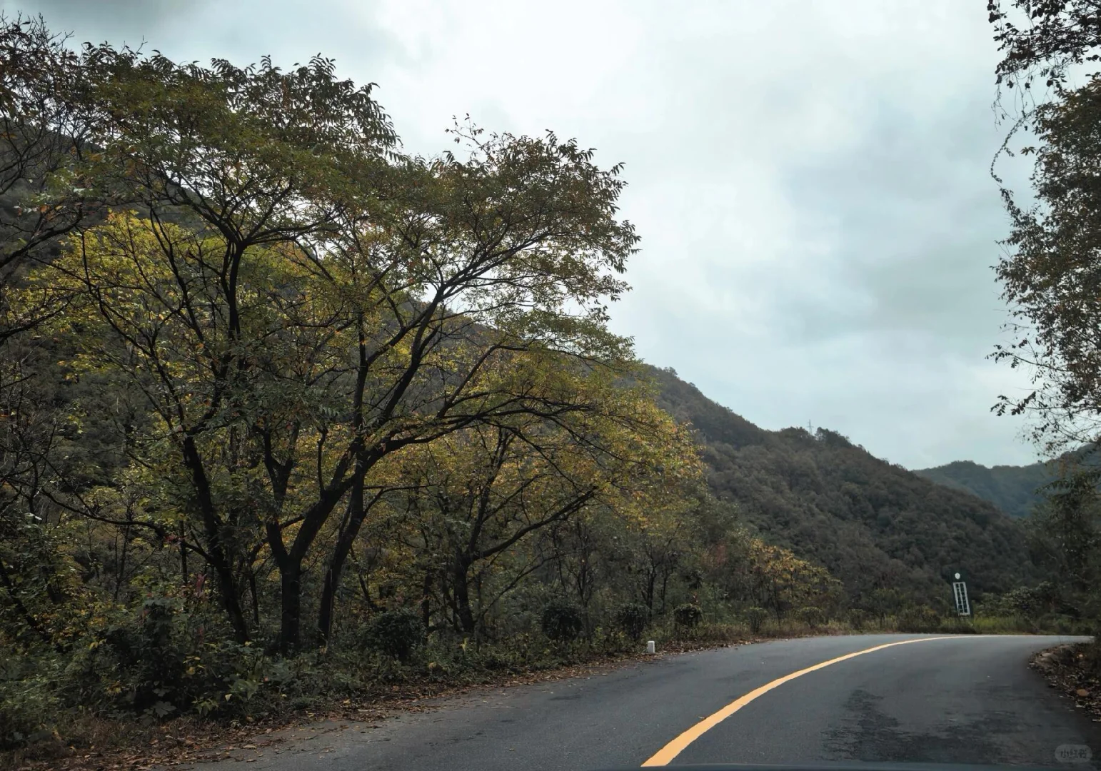 走吧！去看秋天的红叶！