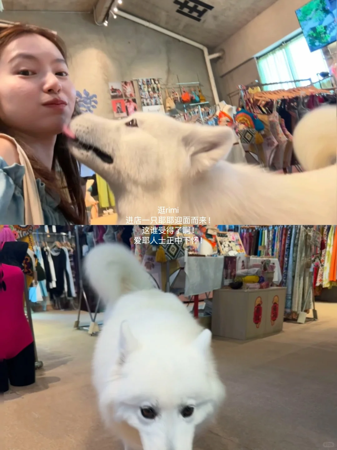 小岛日记🌴☀️