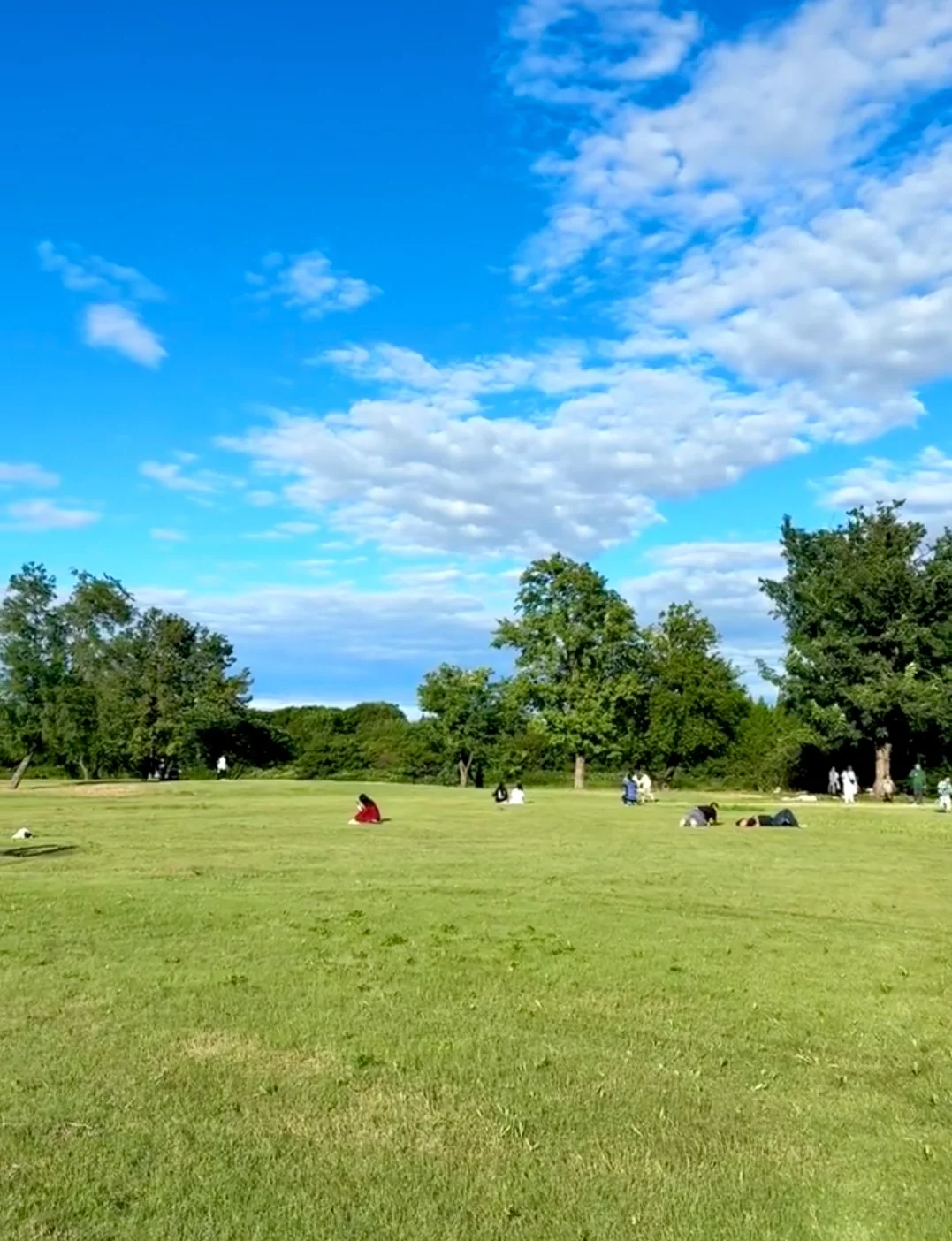 海淀最会玩的女大！必玩公园Top前三！