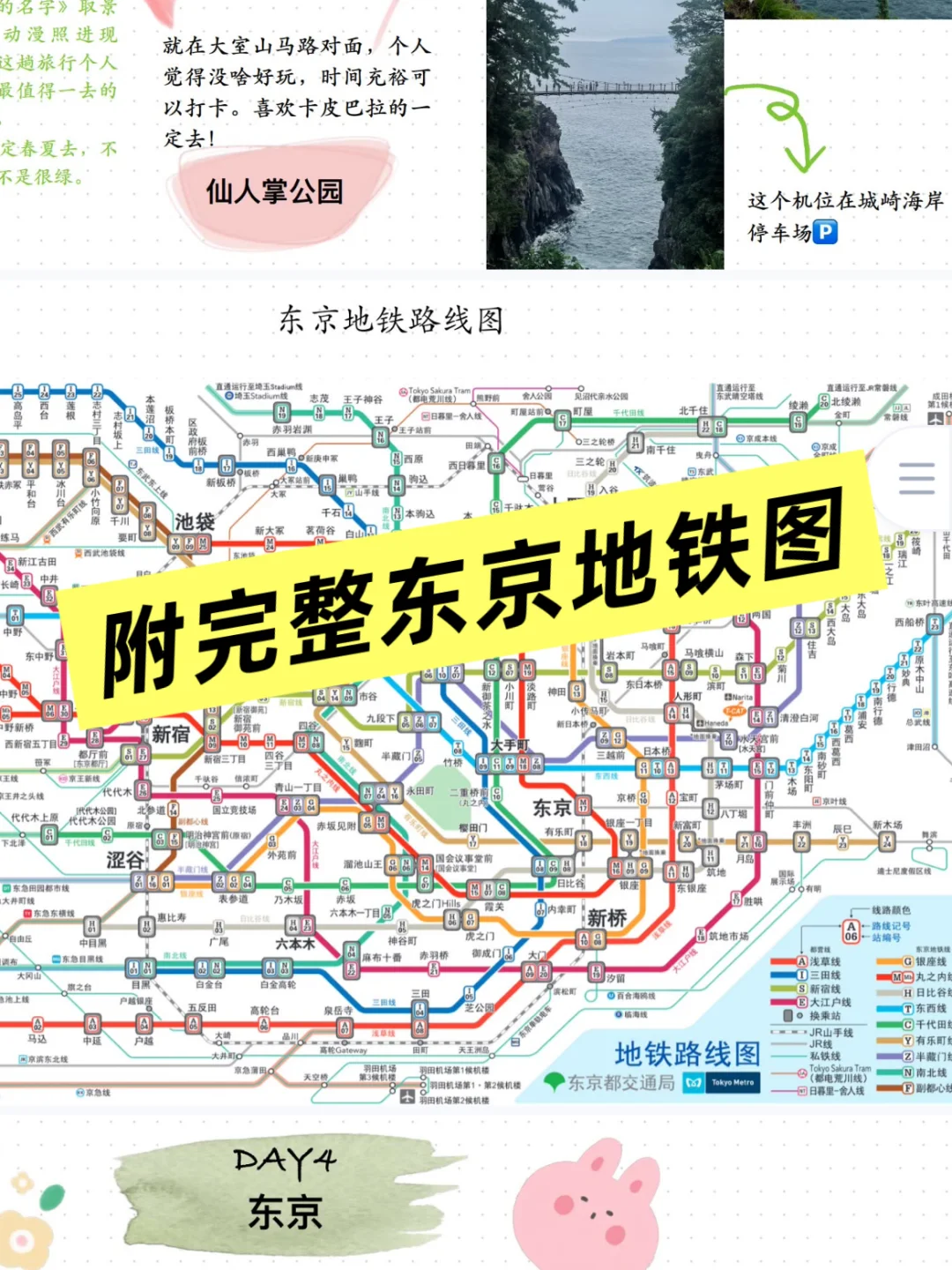 🇯🇵日本旅行攻略|5天5晚关东行