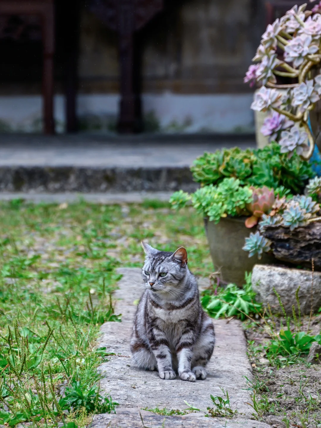 江浙沪真正被低估的小城，舍不得公开