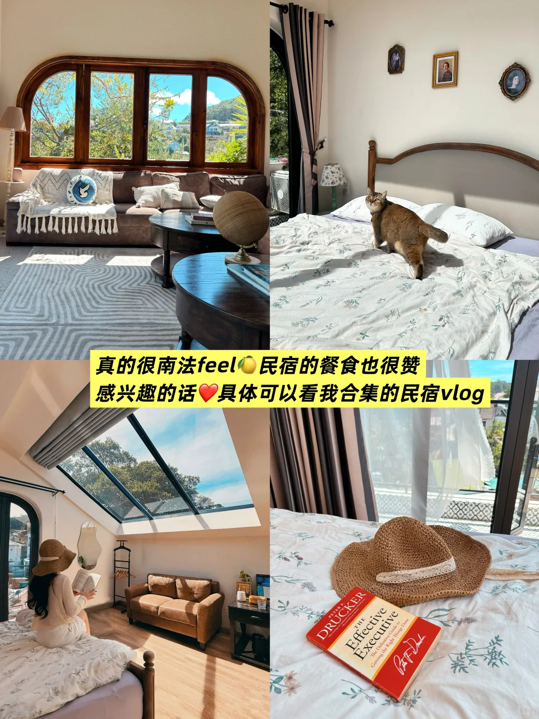 越南大叻｜3天3晚的保姆级吃喝玩乐🇻🇳合集