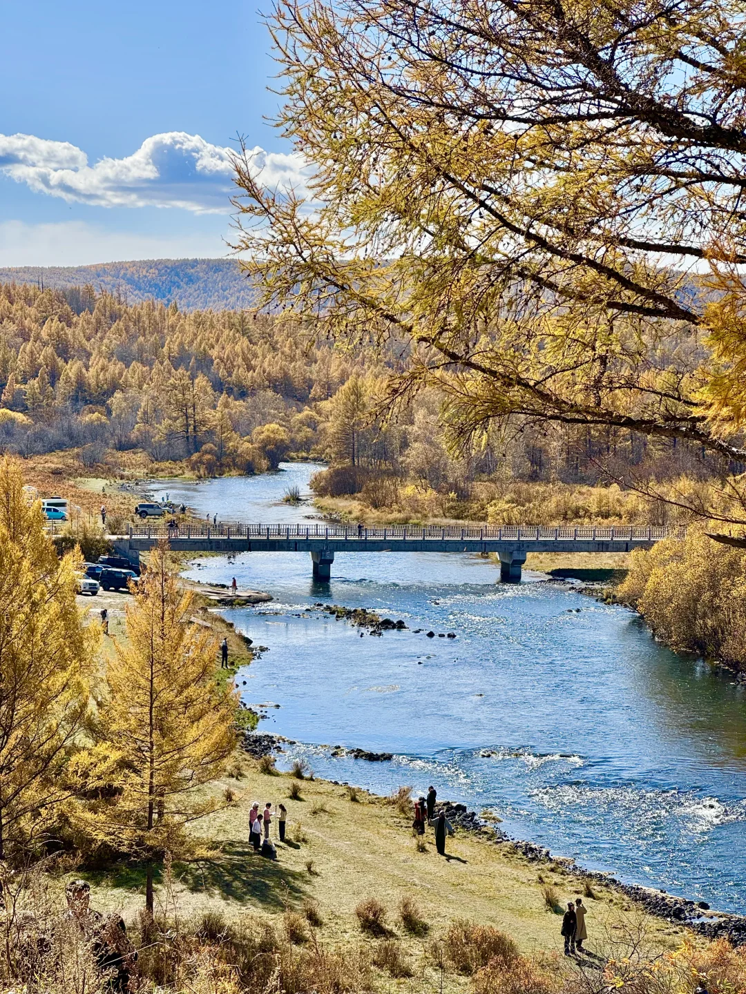 📍阿尔山！18张神级人生live！🥺太美了……