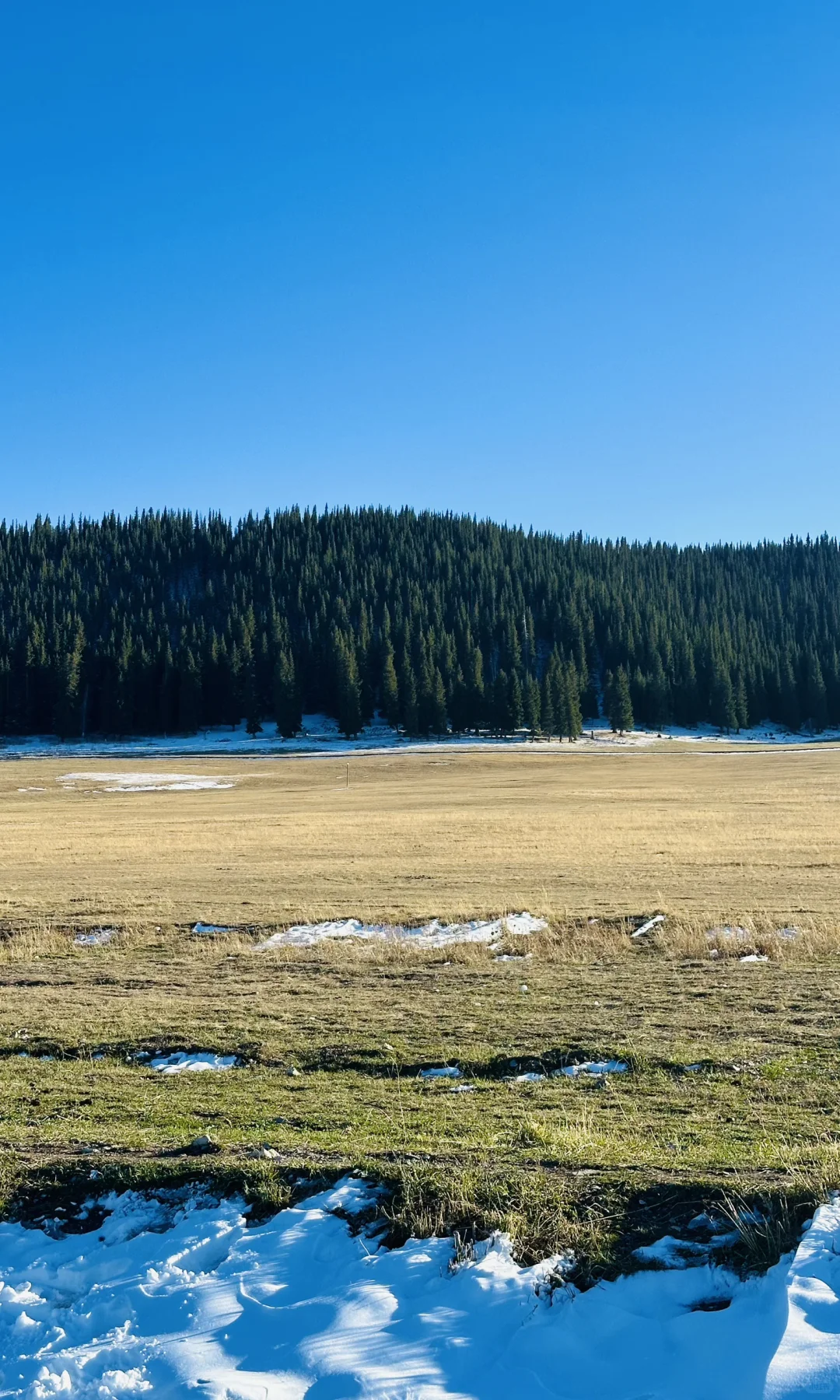赛里木湖收到了初雪的情书