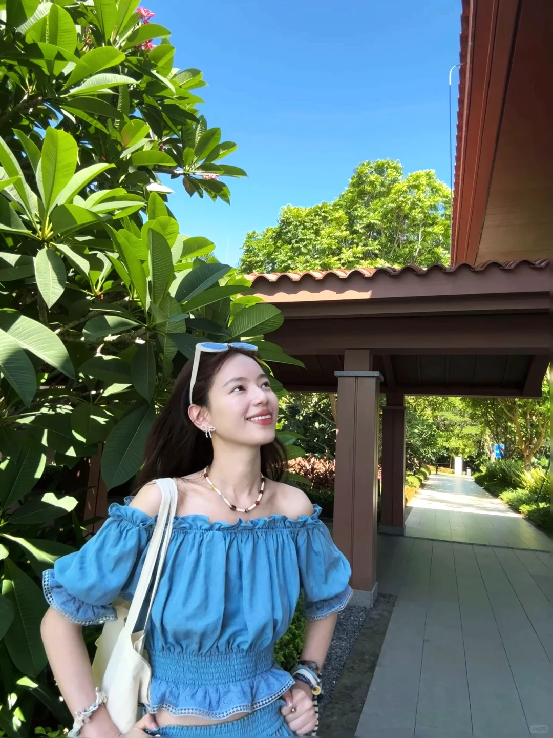 小岛日记🌴☀️