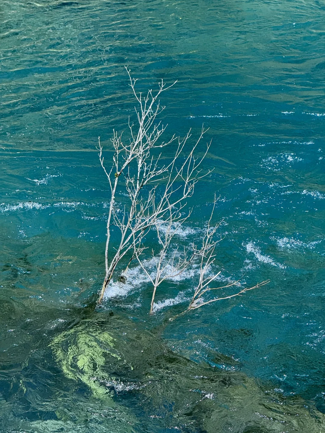 九寨沟我承认之前对你太大声