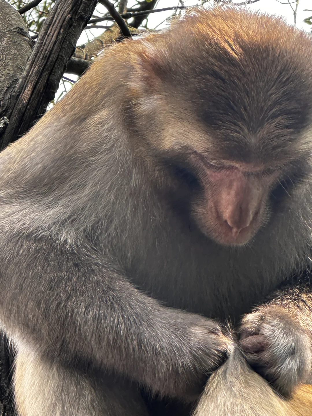 张家界攻略不求人篇！两天一夜