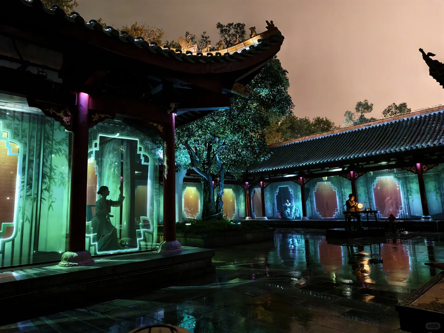 雨中今上岳阳楼，值得❤️岳阳旅游夜游推荐
