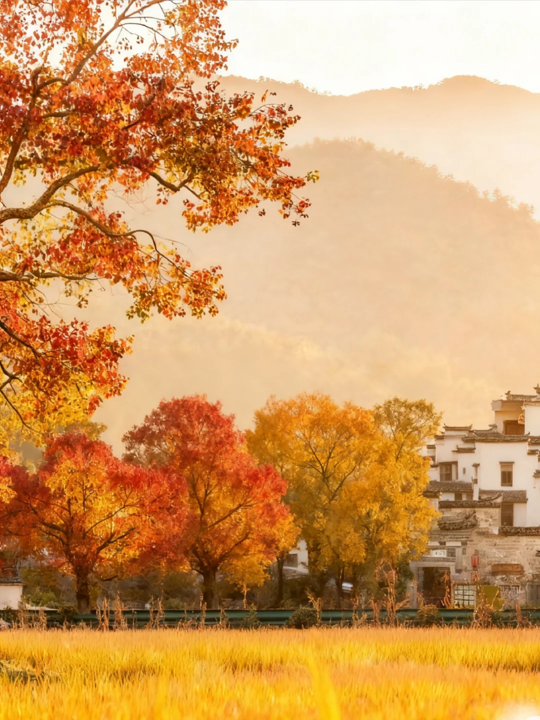 【皖南秋色天花板🍁】3天2晚保姆级攻略！