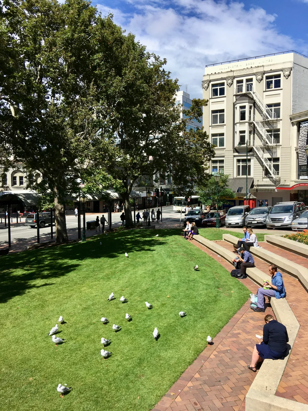 🇳🇿 新西兰达尼丁 Dunedin, New Zealand