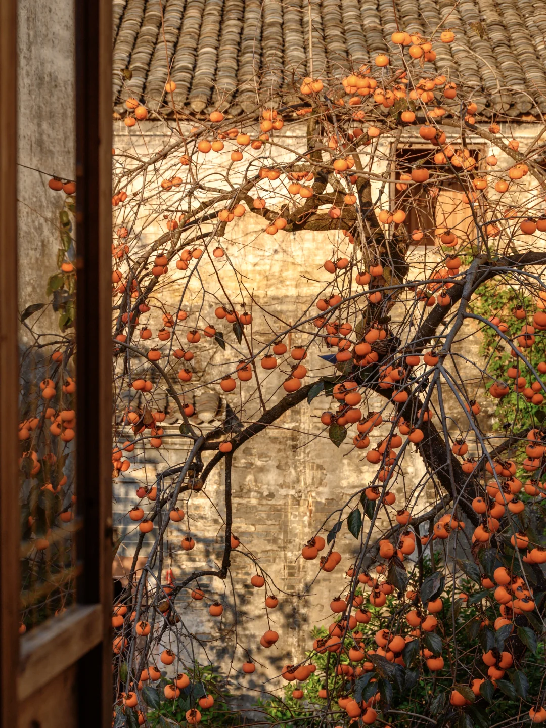 为了这扇窗，我特意去了一趟皖南