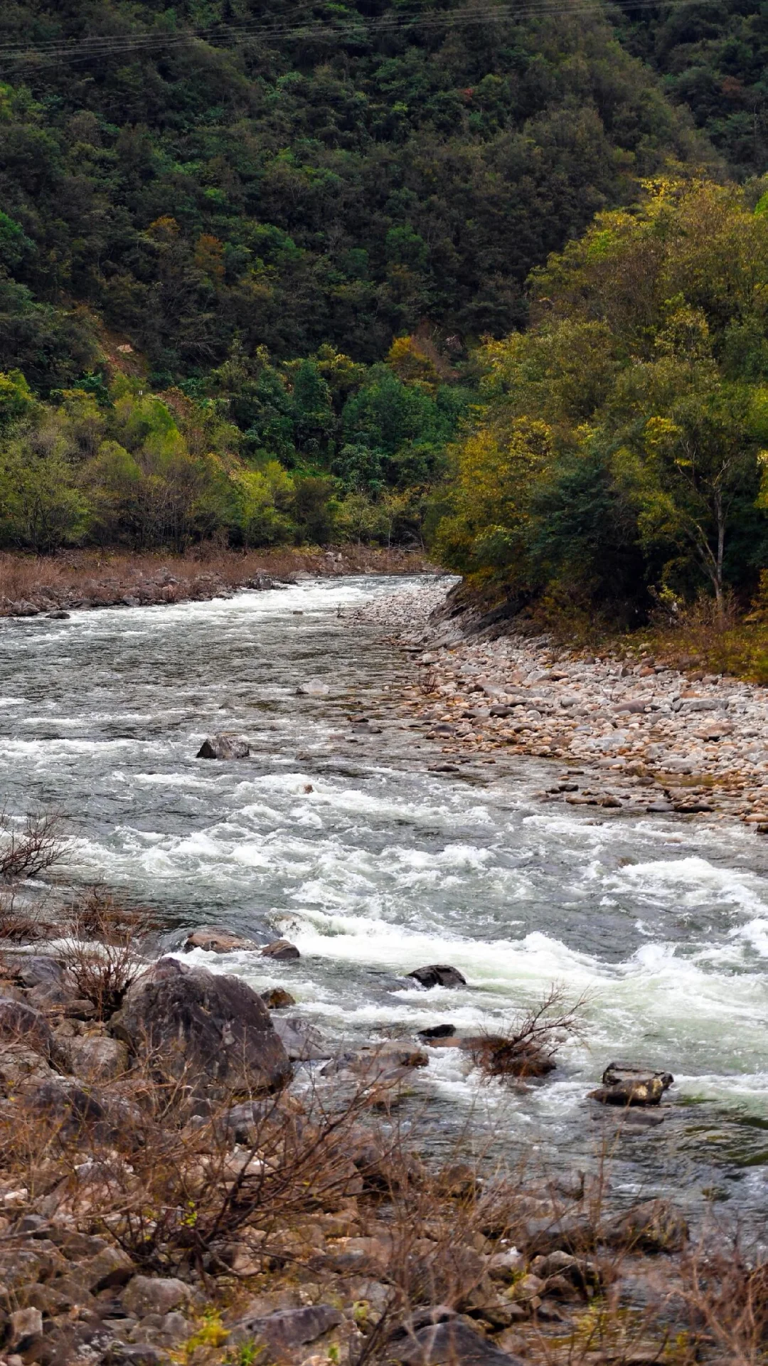 走吧！去看秋天的红叶！