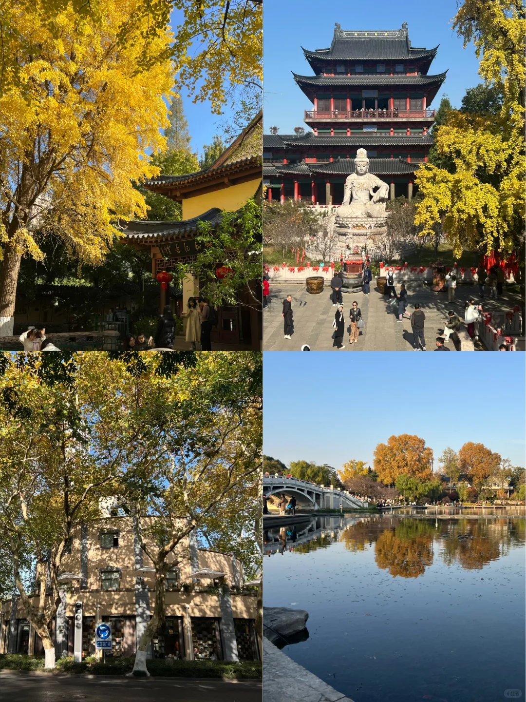 🍁南京四日游赏秋路线📍