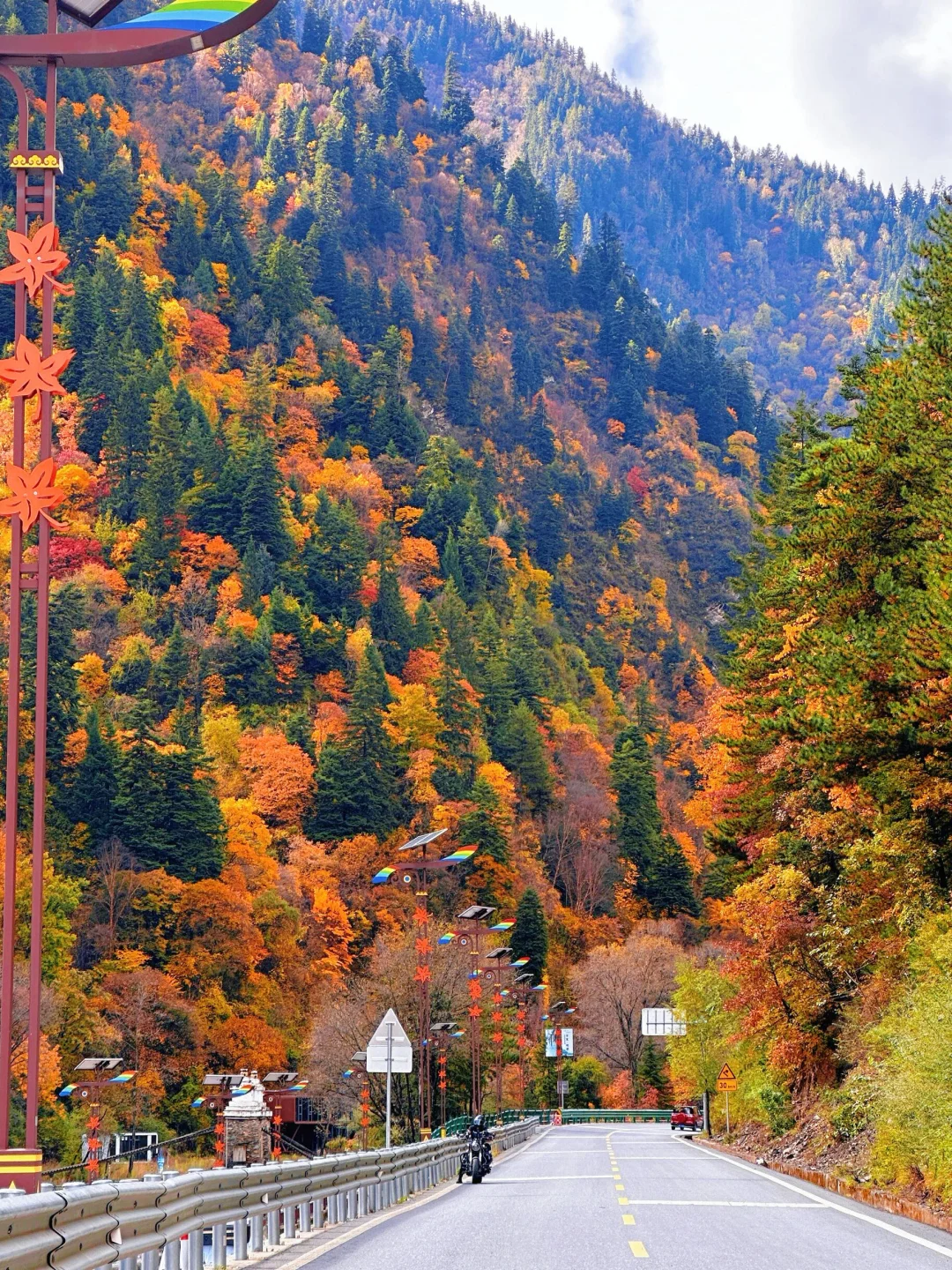 🔥比九寨沟更震撼!解锁川西彩林天花板!