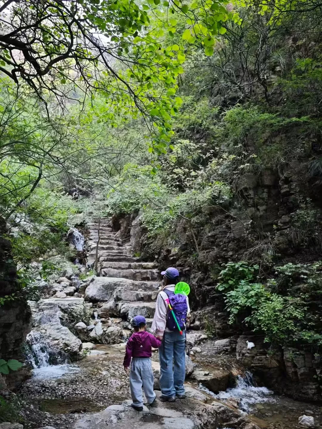 3岁坚持每周一山后，真的后悔了！附攻略