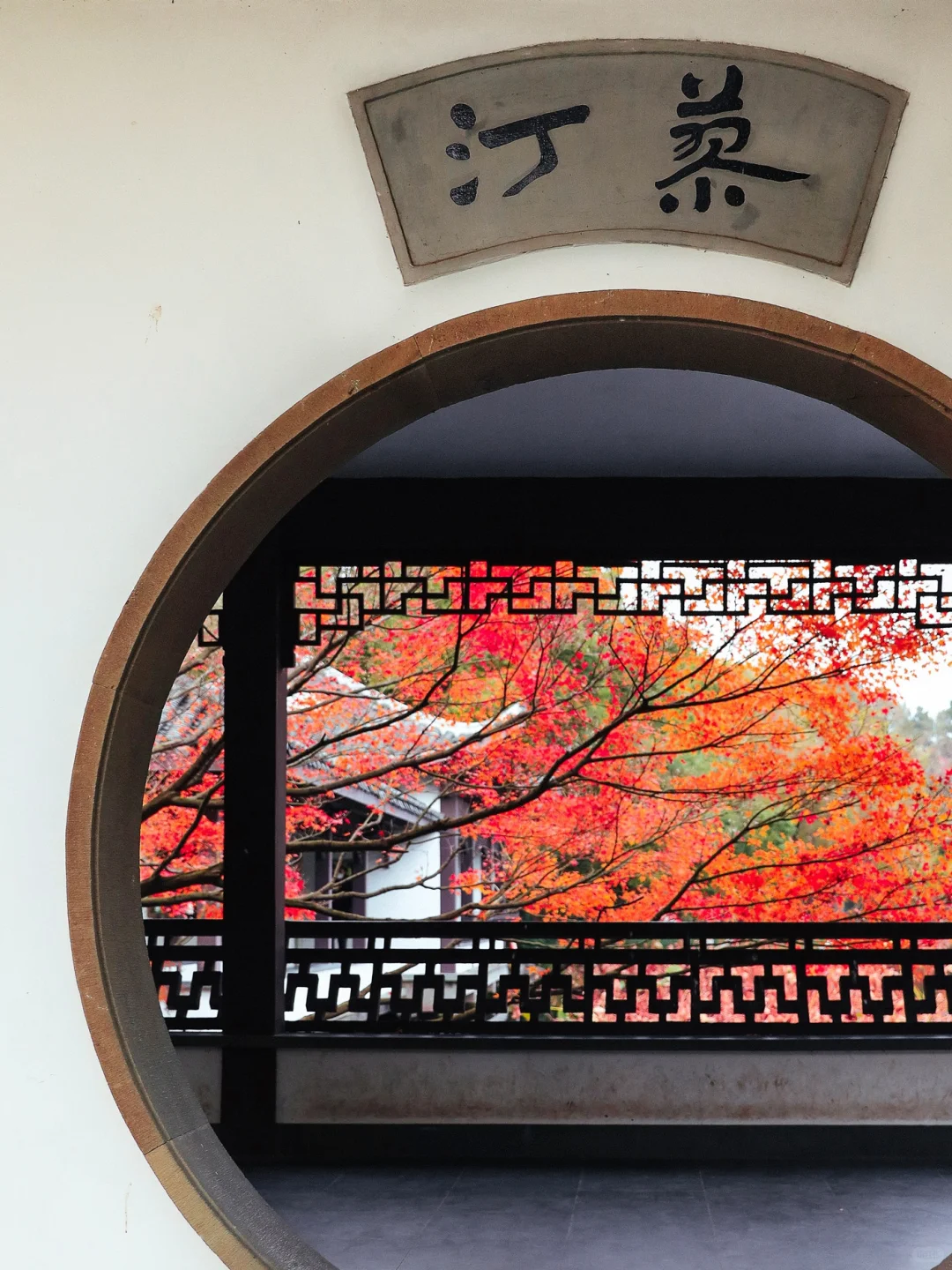 杭州最美的秋景都是免费的🍂附机位!