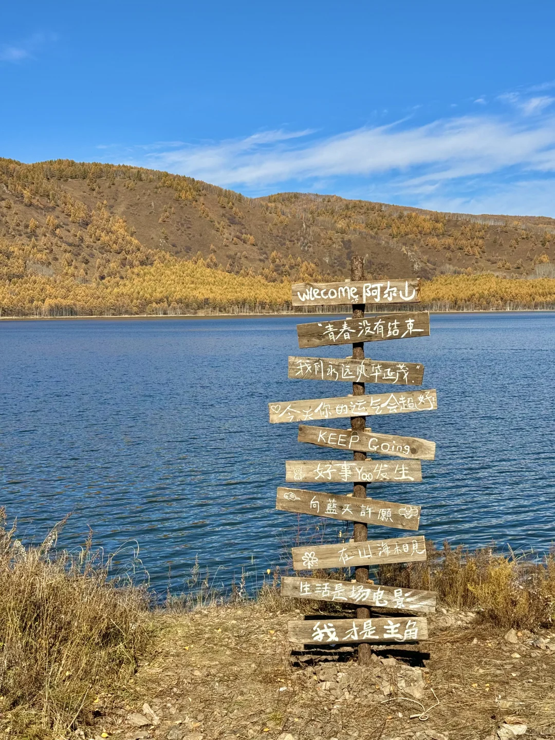 📍阿尔山！18张神级人生live！🥺太美了……