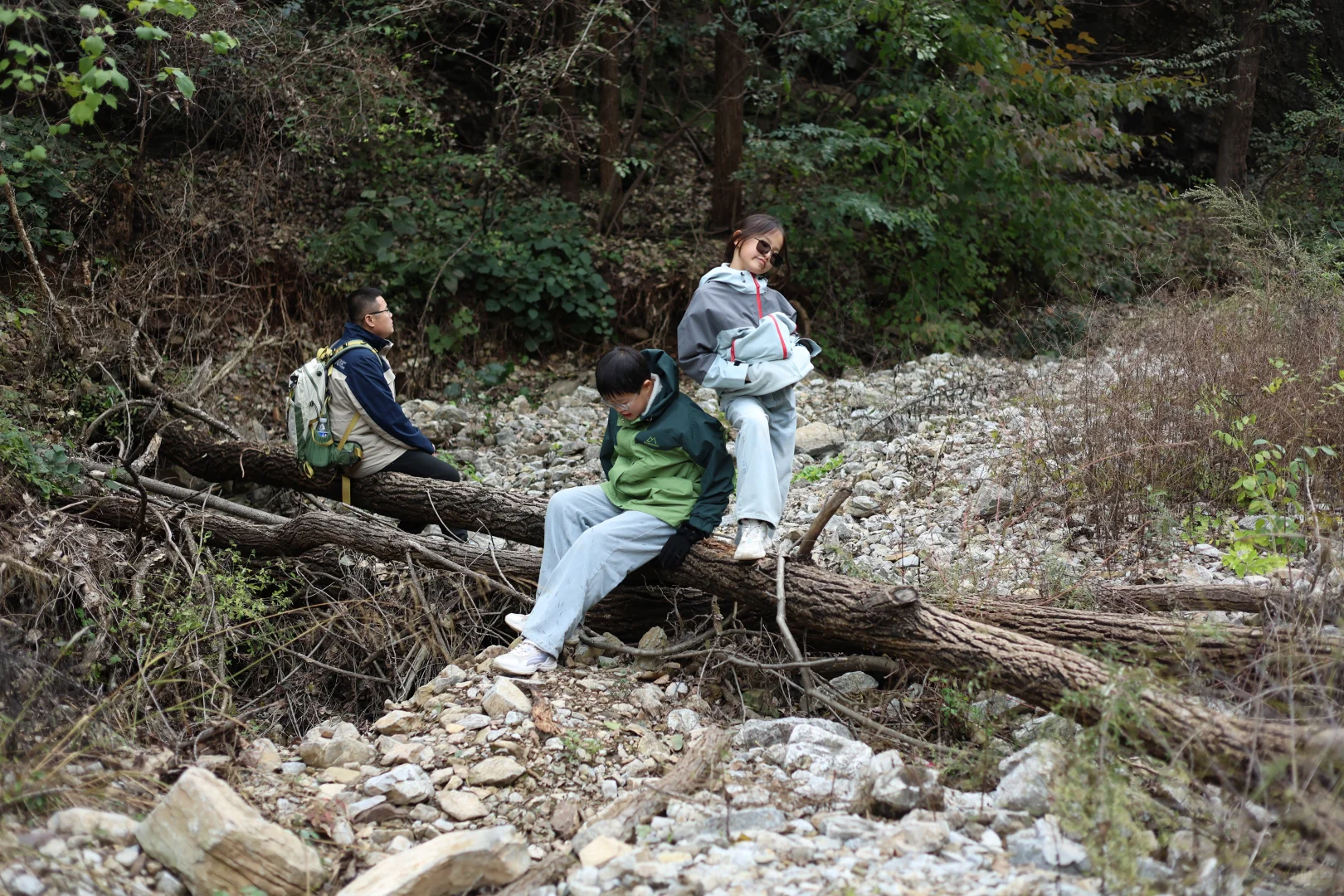 石家庄可以摘苹果，免费赏红叶的野山