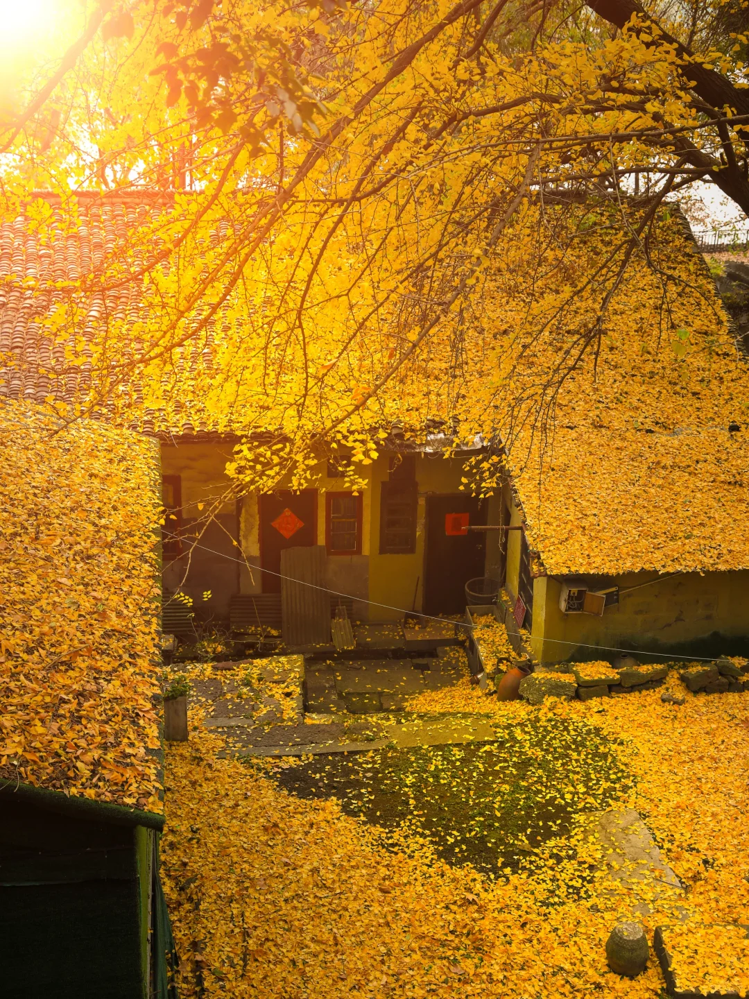 杭州最美的秋景都是免费的🍂附机位!