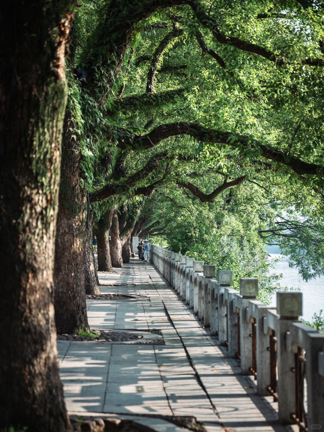 广州2h高铁🚄，来看看这里山水有多绝❗