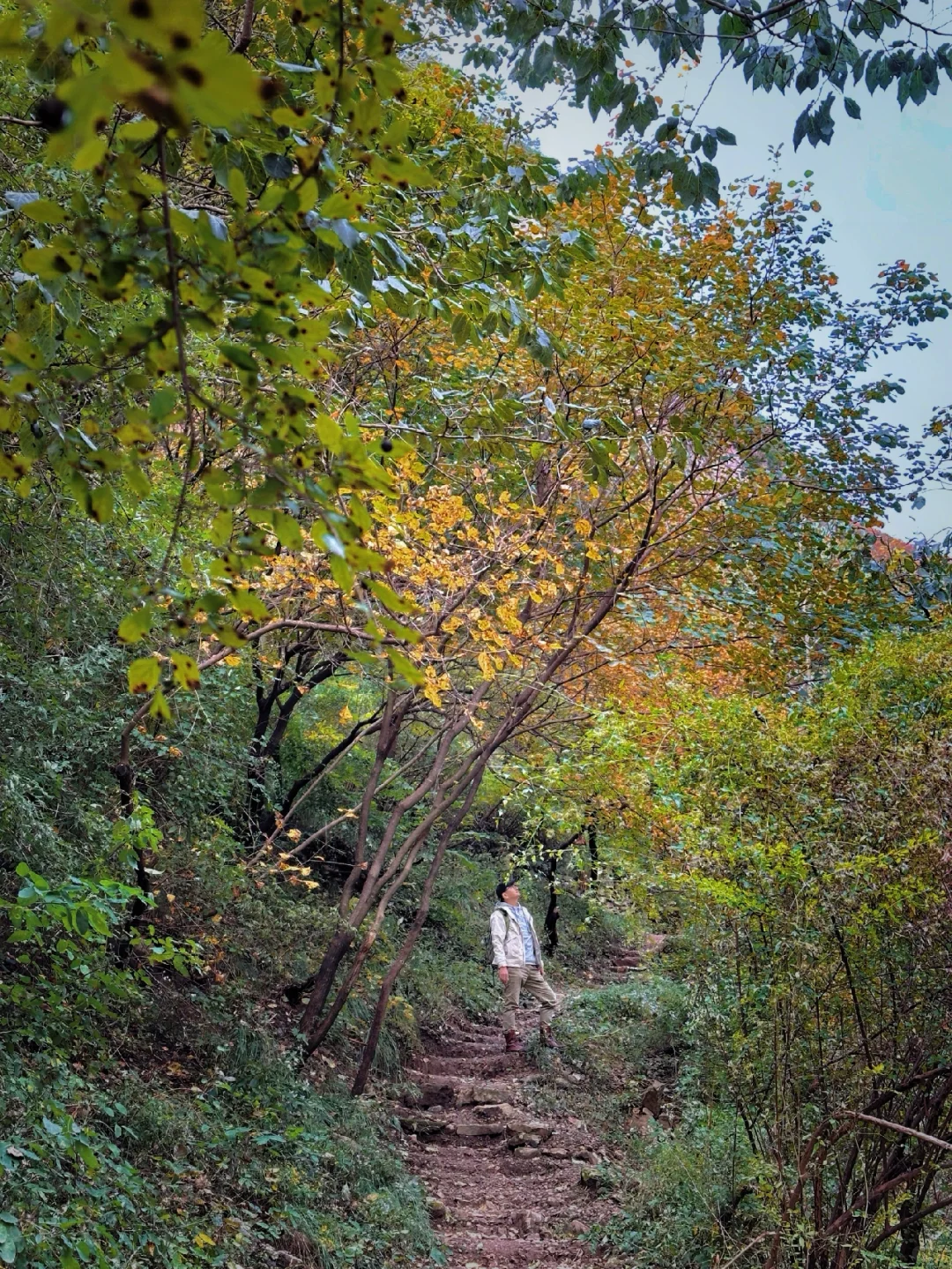 邯郸周边游：佛照山赏绝美红叶