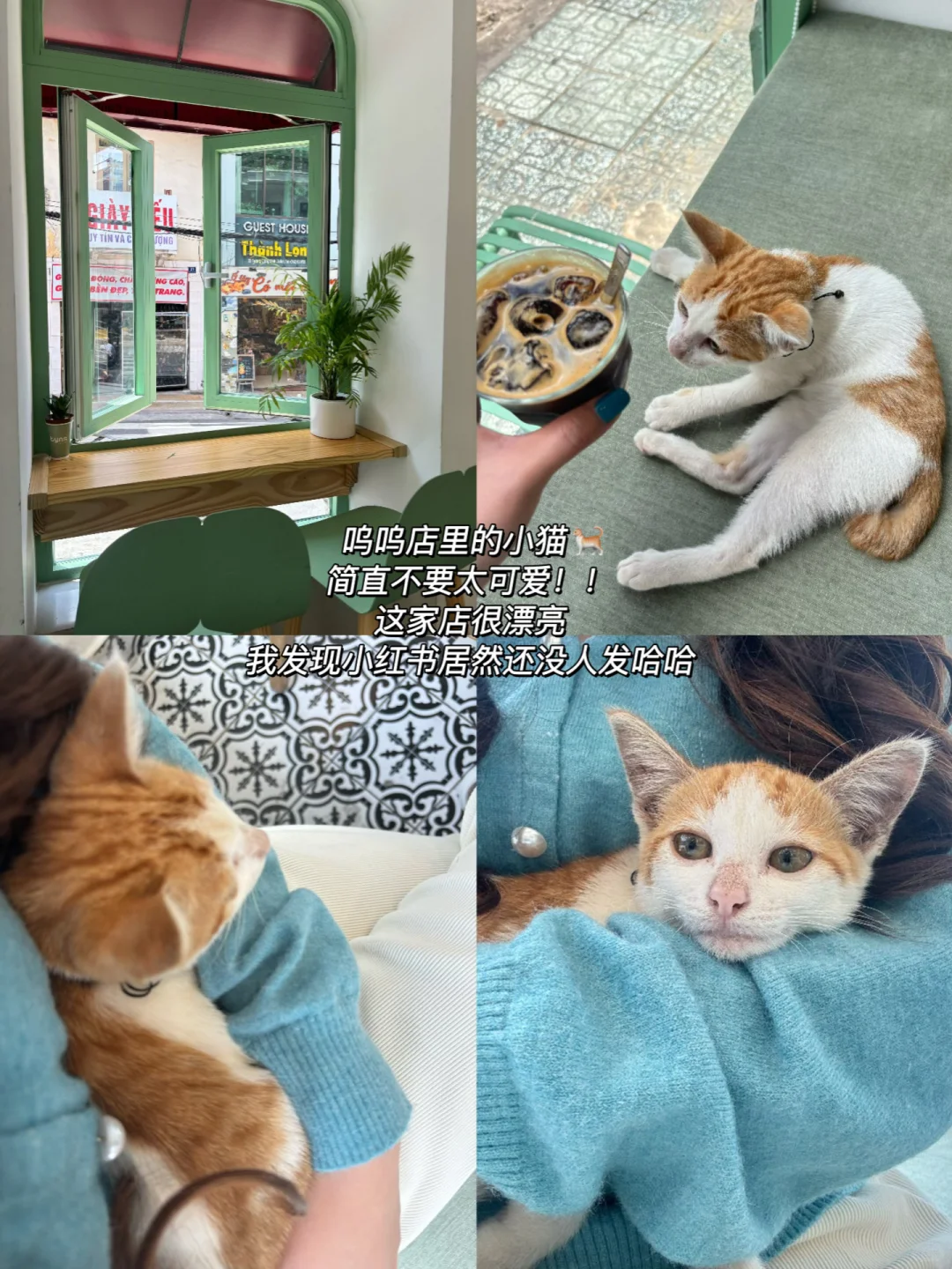 越南大叻｜3天3晚的保姆级吃喝玩乐🇻🇳合集