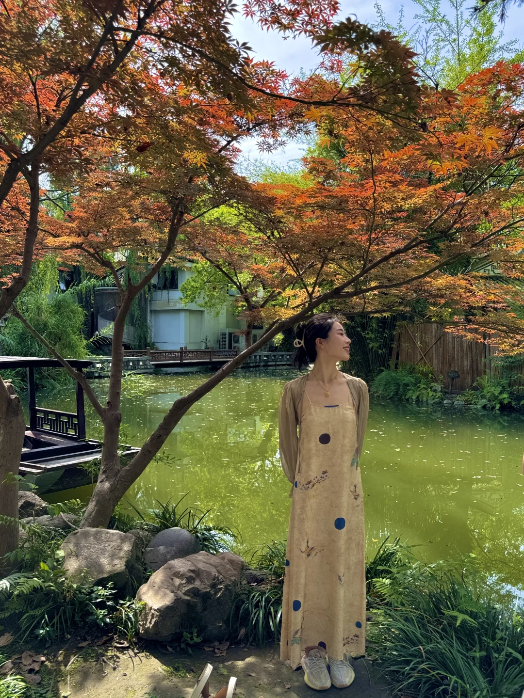 果然成都最好逛的公园都是免费的。。。。。(合集