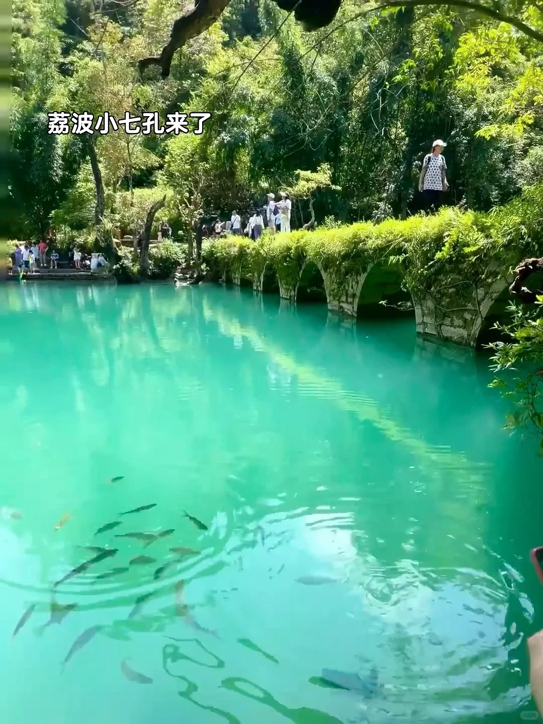被《国家地理》推荐的天空之城到底有多绝‼️