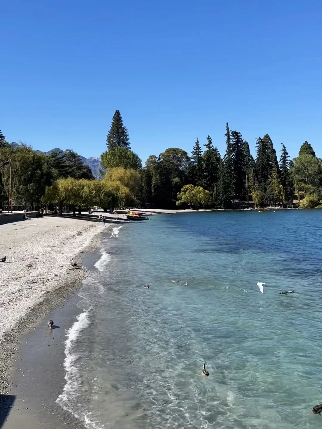 旅行结算｜我的年度live图