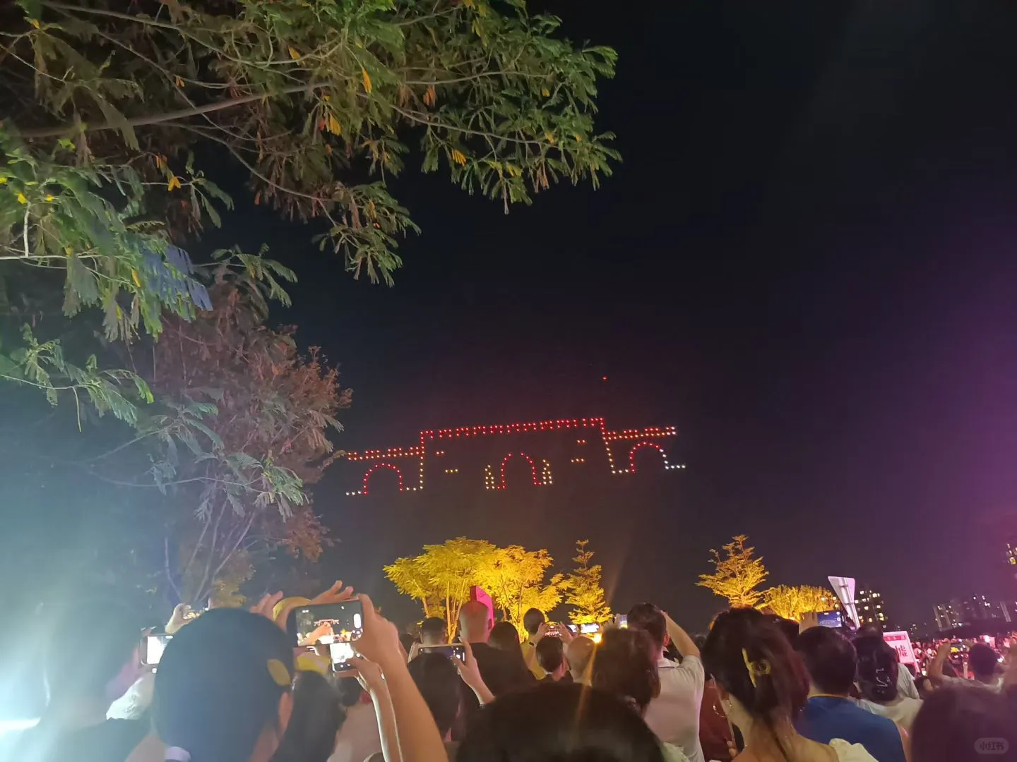 灯汇天下，龙舞盐都