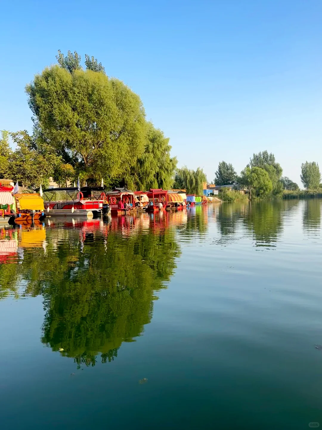 🌾别挤景区了❗️白洋淀的秋日遛娃才惬意🚤