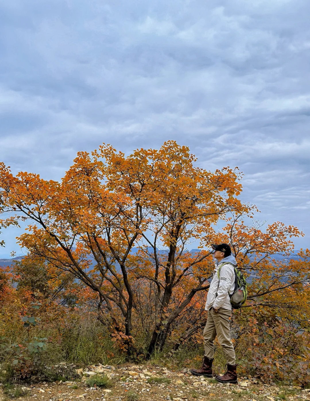 邯郸周边游：佛照山赏绝美红叶