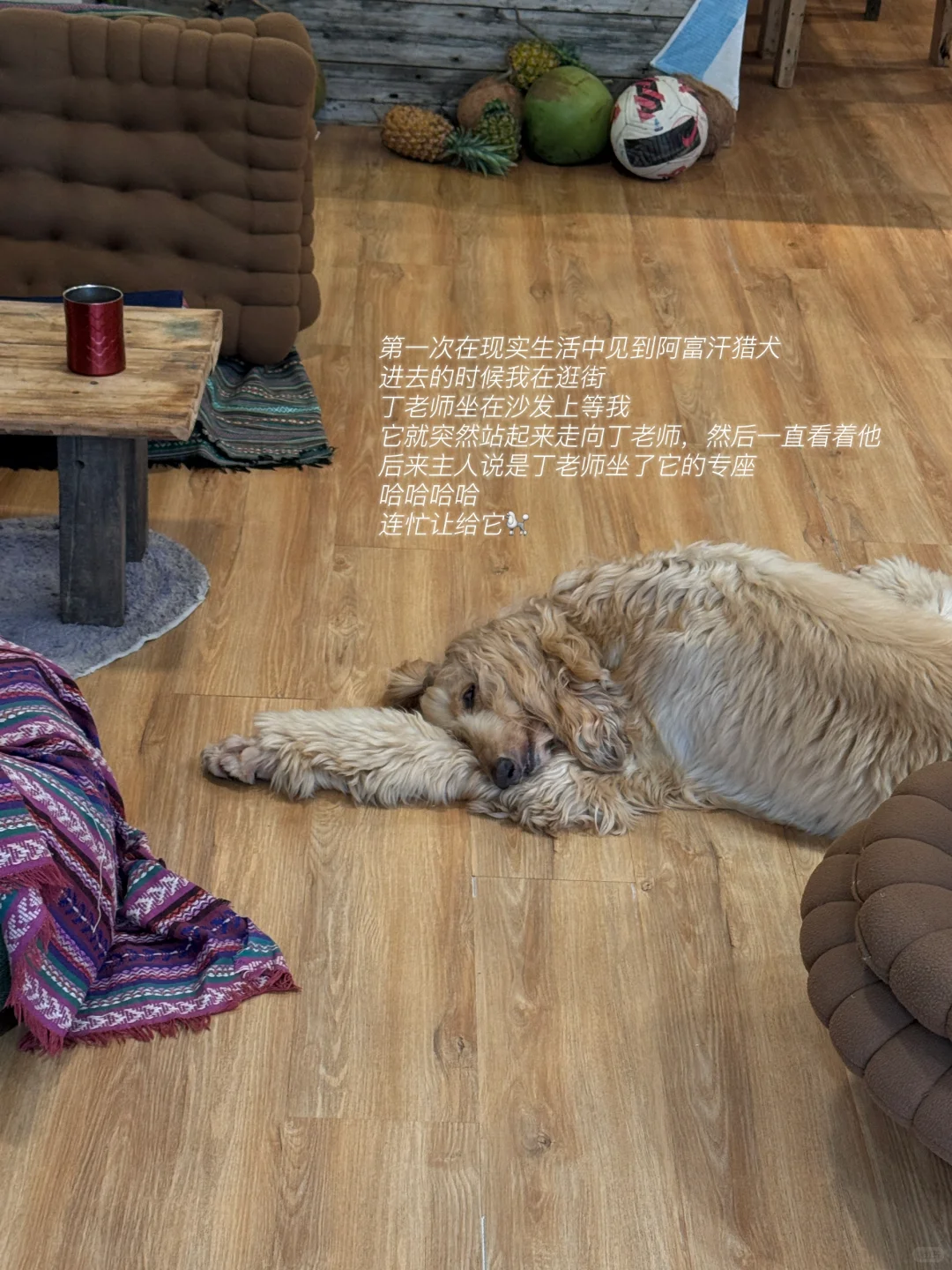 小岛日记🌴☀️