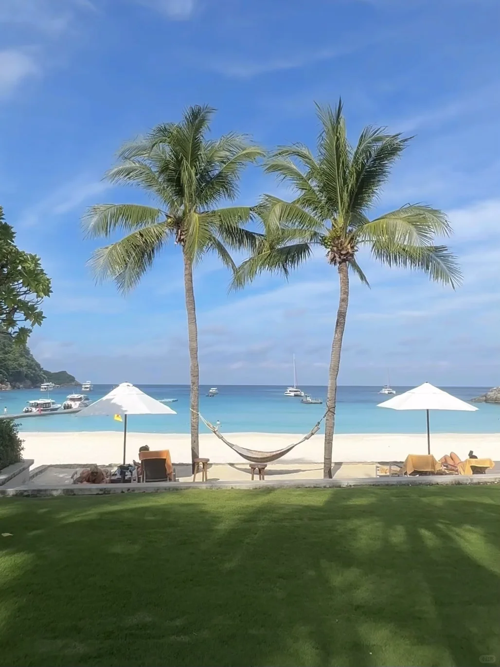 旅行结算｜我的年度live图