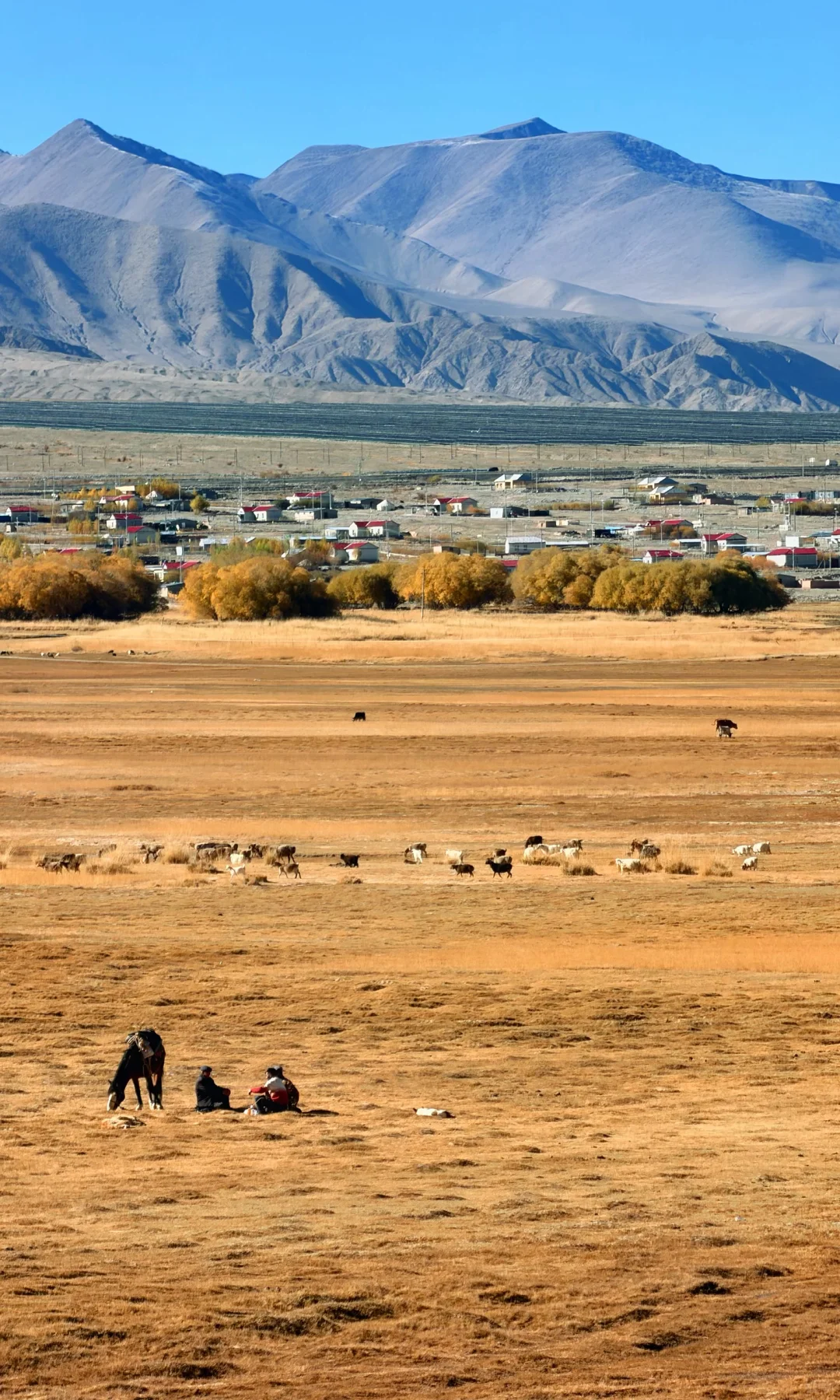 全屏live | 南疆秋天最好的地方都是免费的