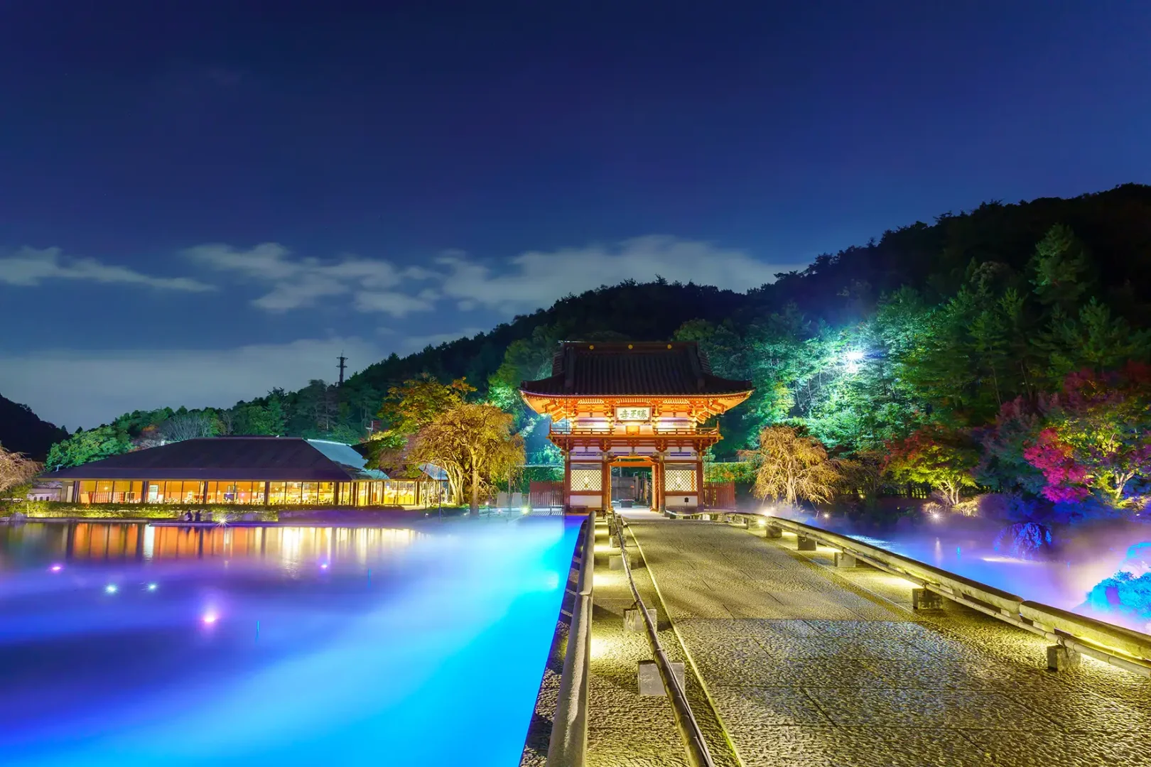 【大阪红叶秘境🍁】一起去勝尾寺夜访红叶