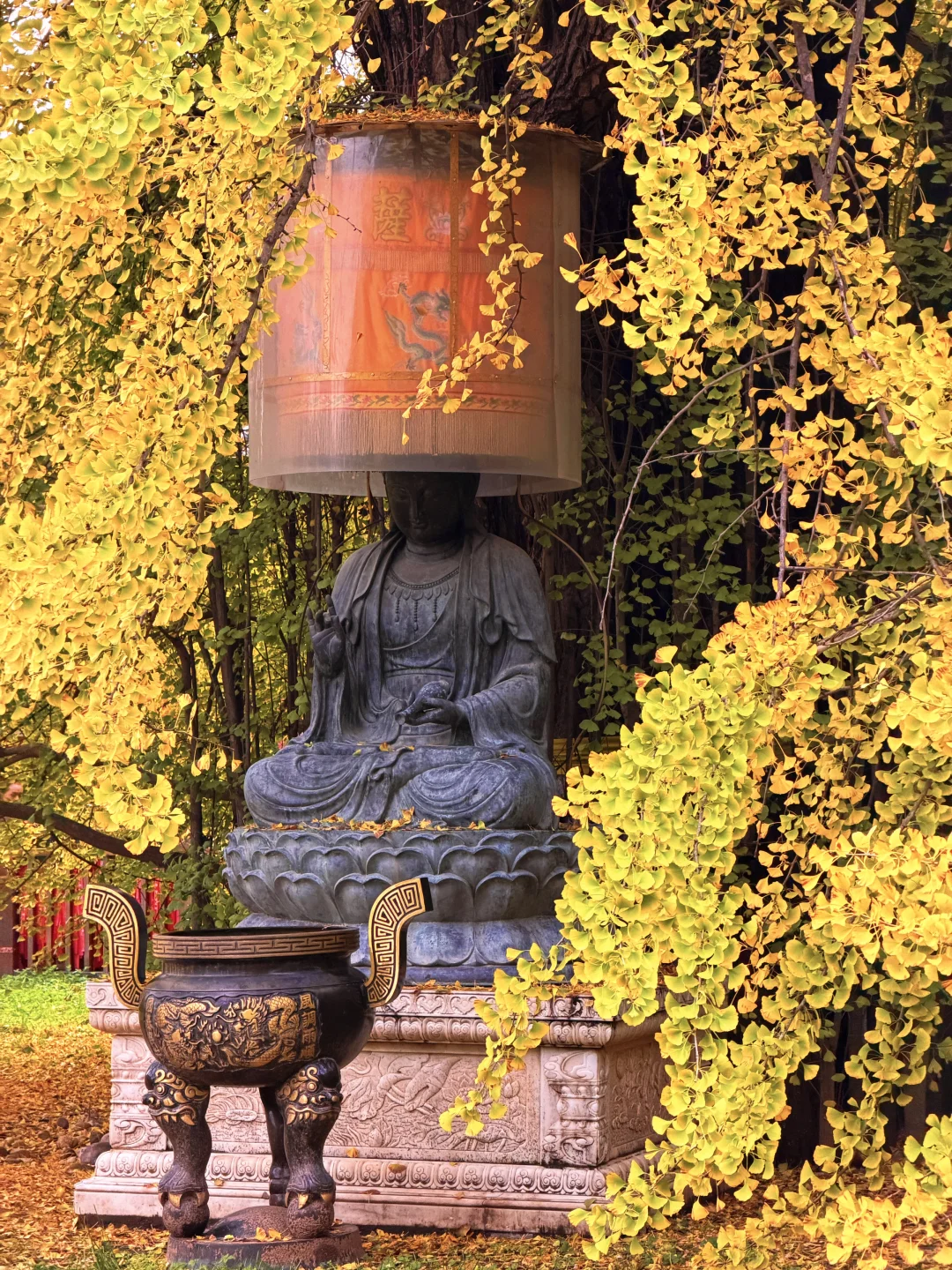 西安赏秋🍂1400年银杏树太太太震撼‼️附攻略