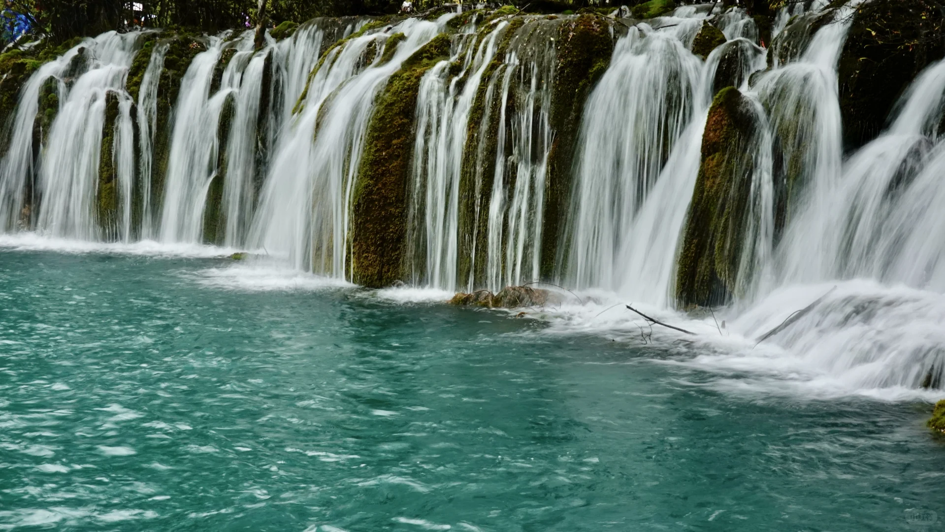 九寨沟·箭竹海瀑布