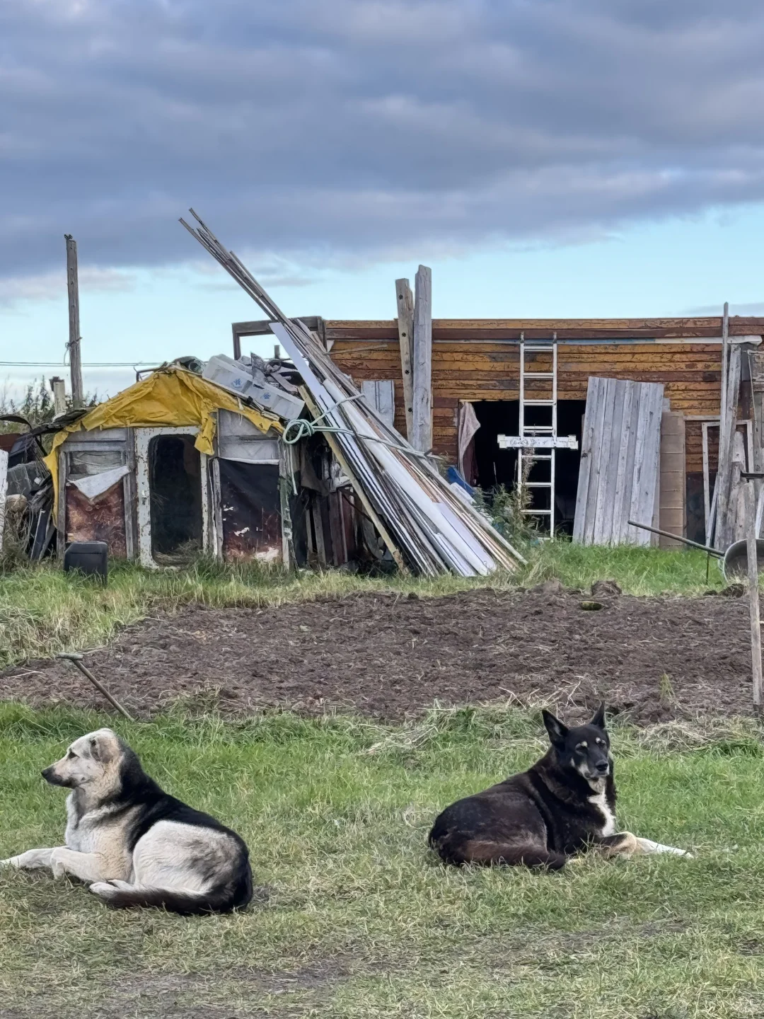 俄罗斯是迄今为止自由行难度最高的国家