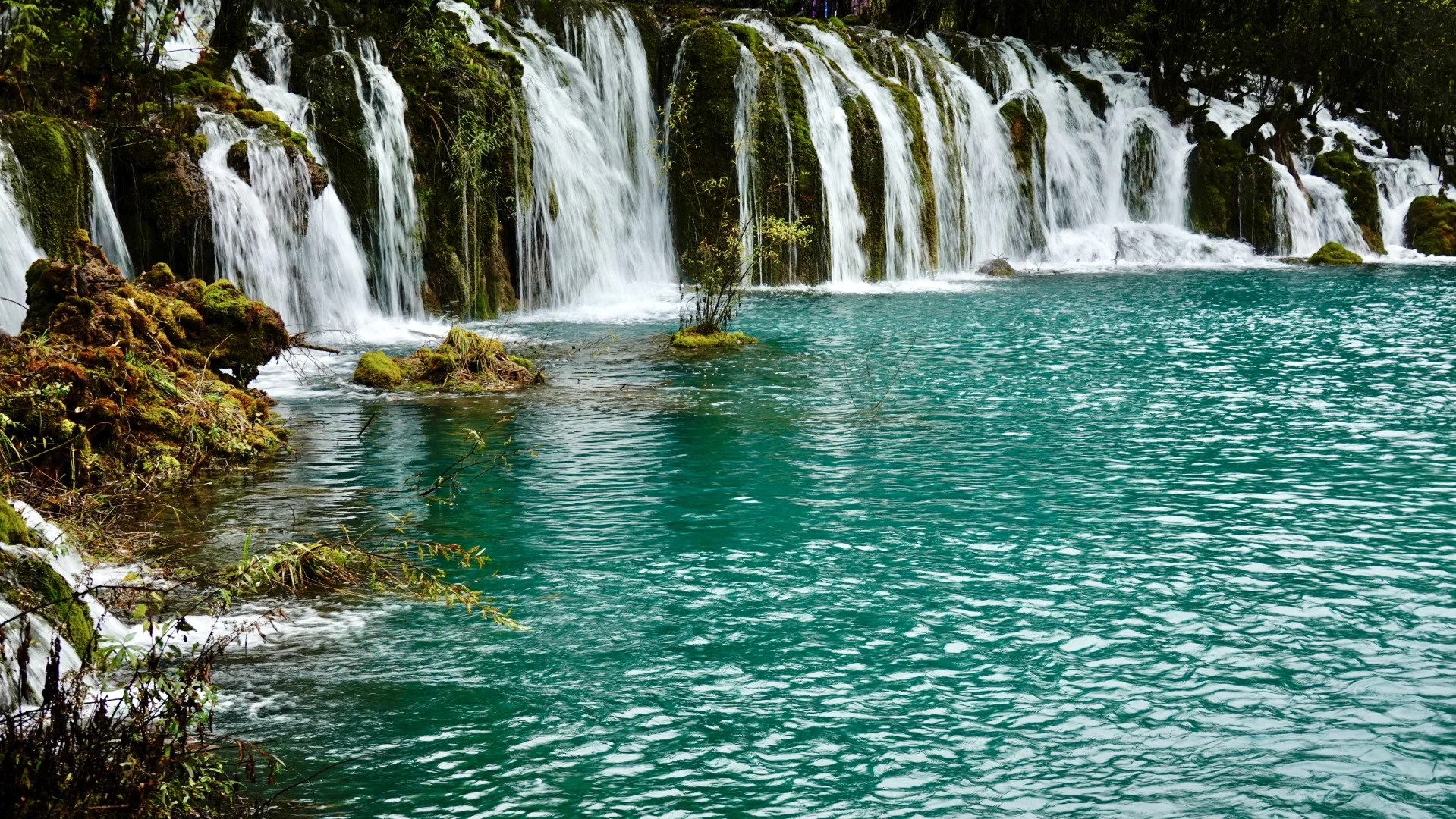 九寨沟·箭竹海瀑布