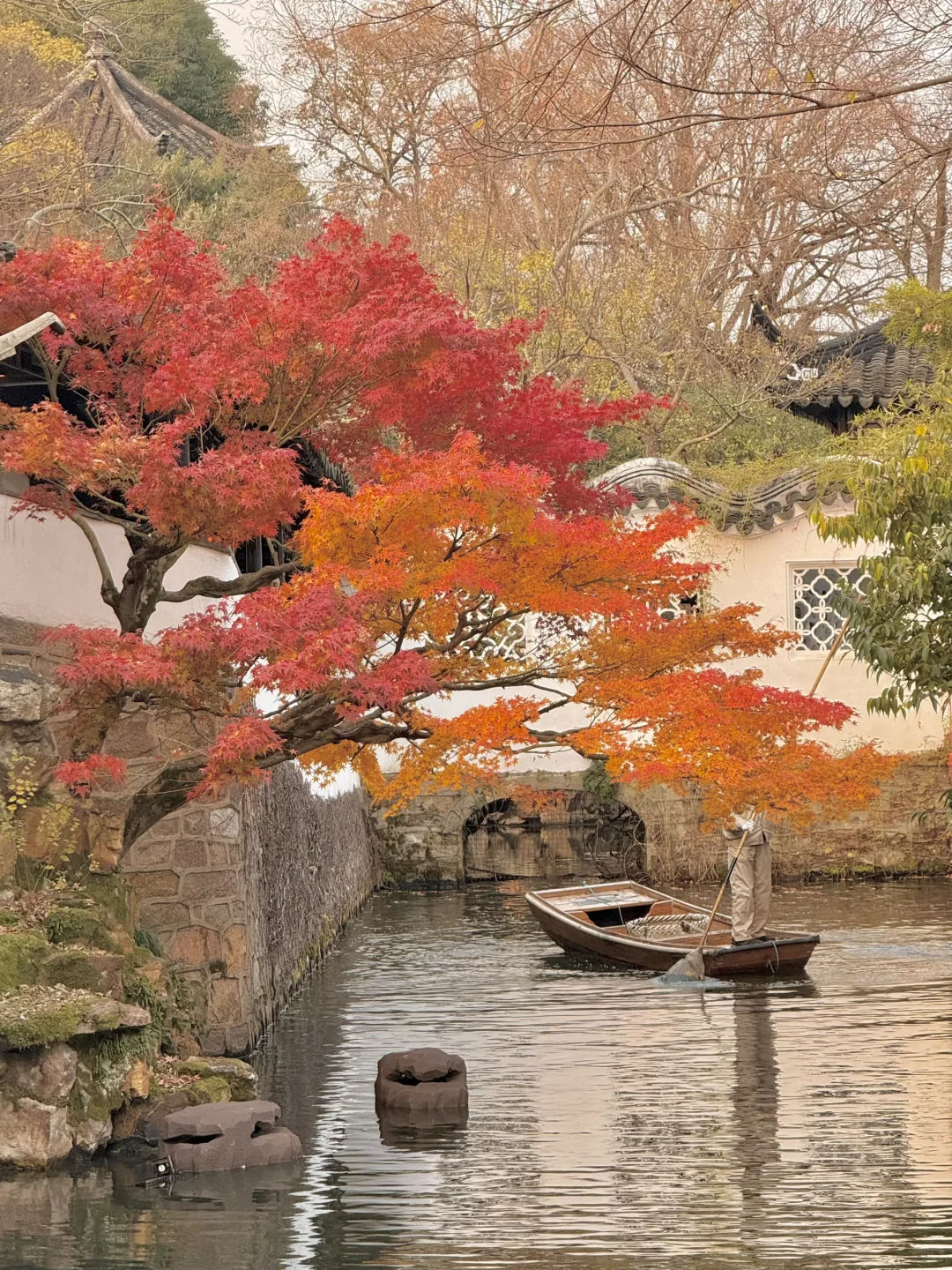 18张live图🍁告诉你苏州秋天有多美！！！！！！！