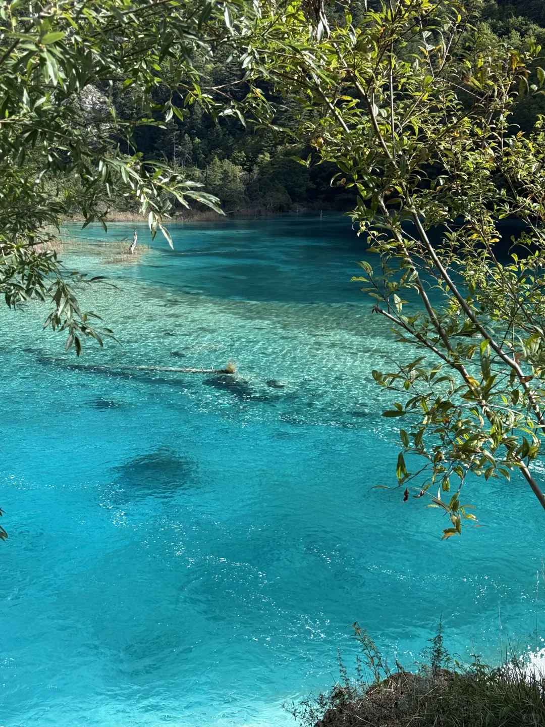 避开人流高峰的超美超详细九寨沟线路