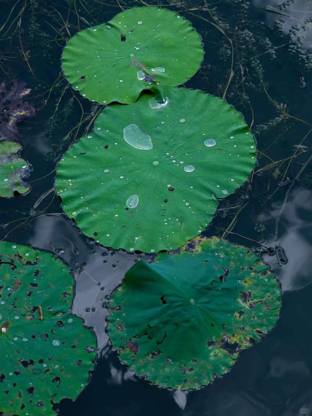 广东七星岩 | 舟行碧波上,人在画中游