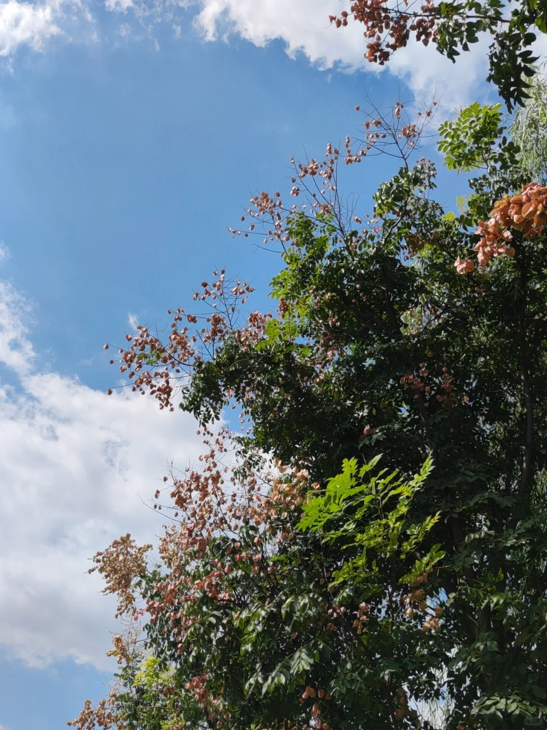 济南长清这个公园太好逛了!🌳附详细攻略