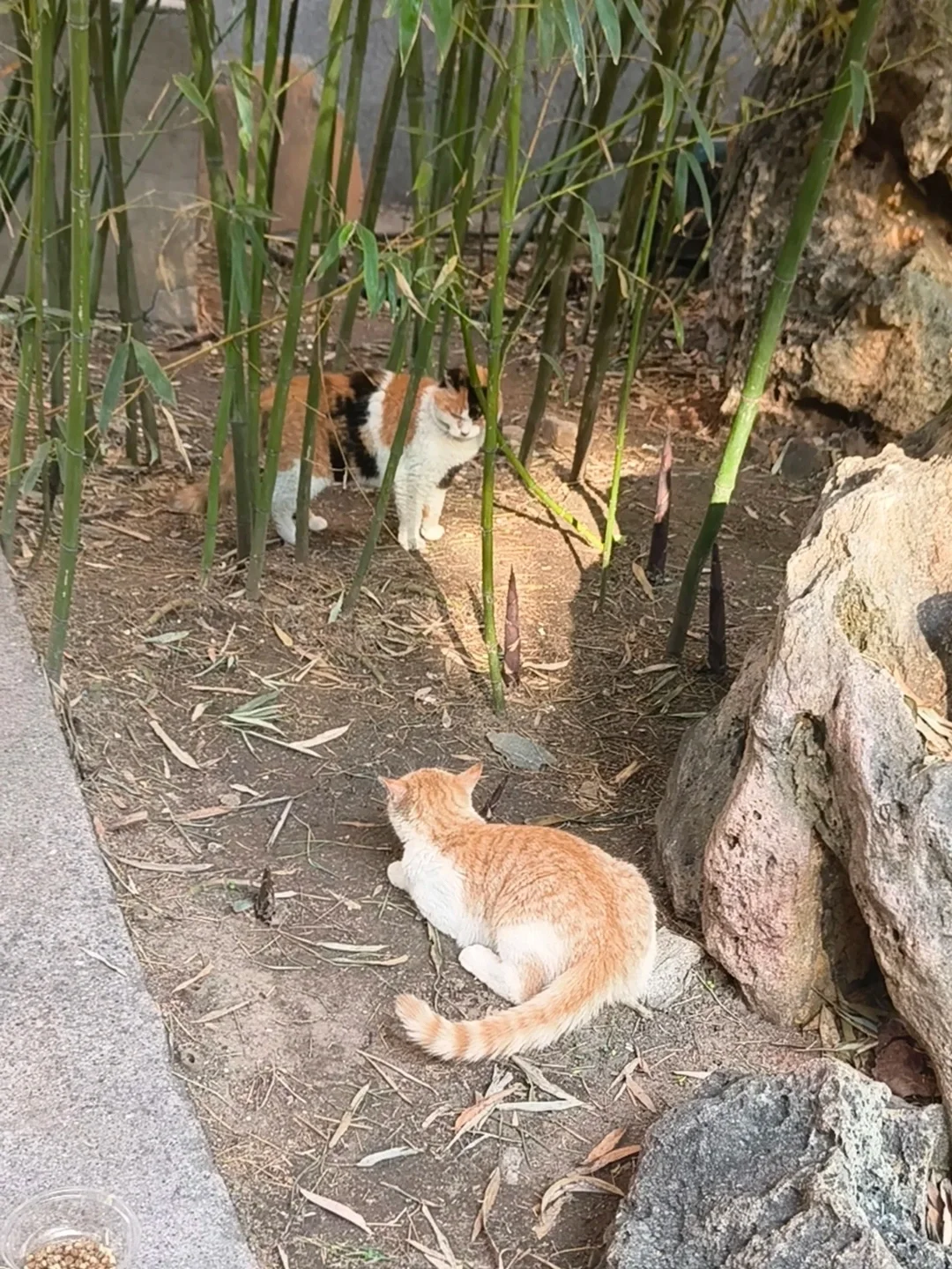 海淀最会玩的女大！必玩公园Top前三！