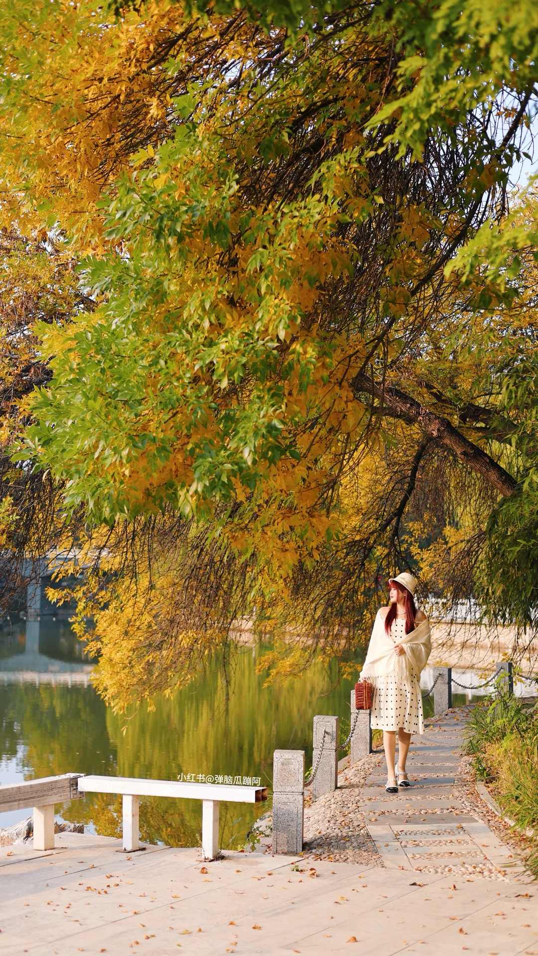 10.15实拍🍁石家庄这个公园的白蜡率先入秋