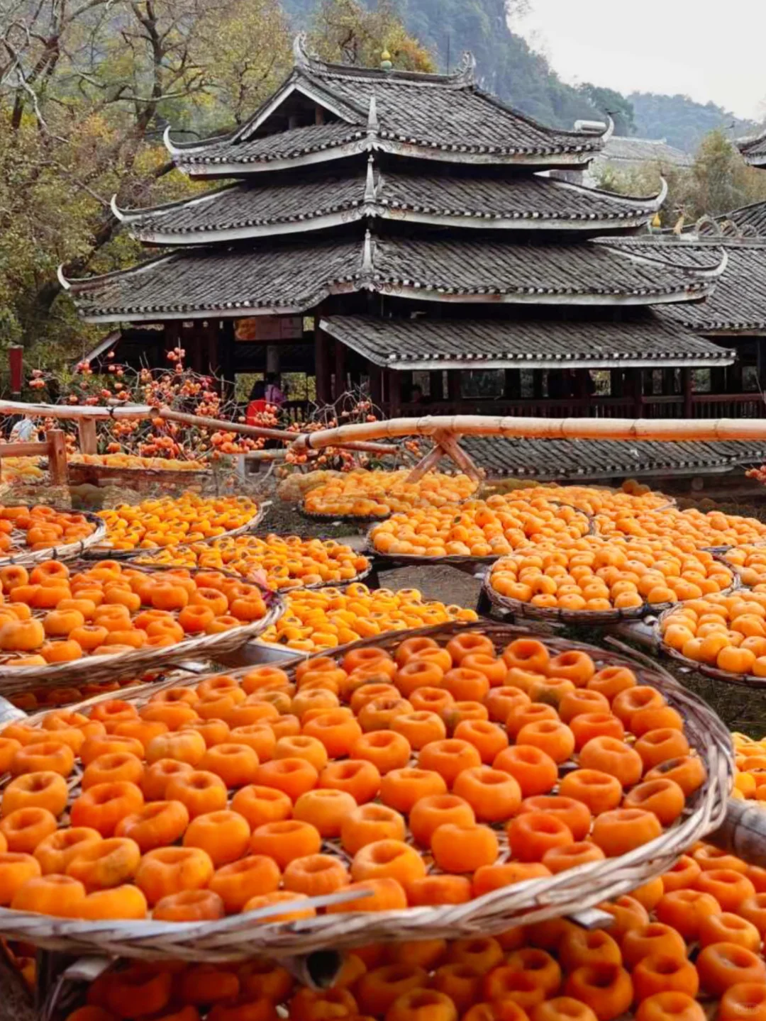 🍅 在广西‼️冷门又好看的超小众旅游地推荐