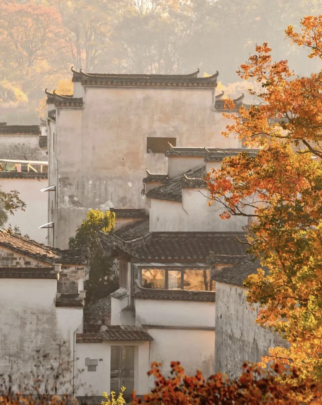 10.17～10.19寻一起去婺源赏秋的搭子 自驾游