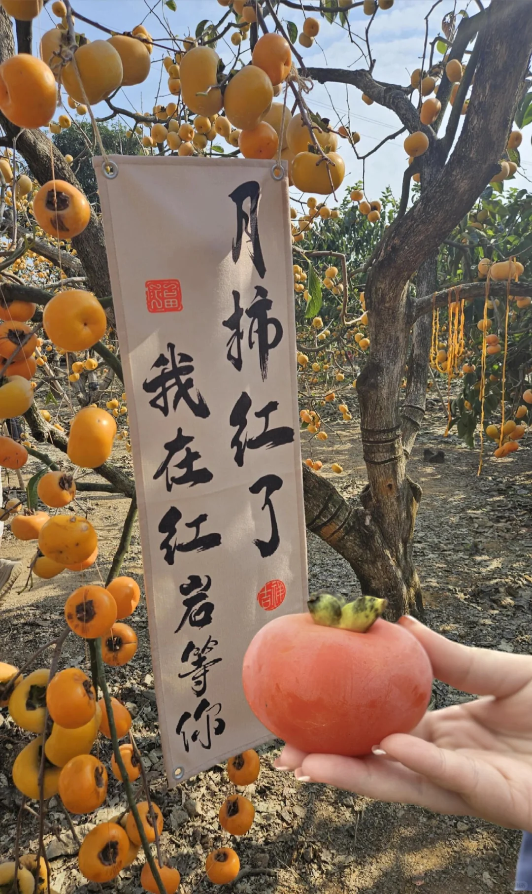🍅 在广西‼️冷门又好看的超小众旅游地推荐